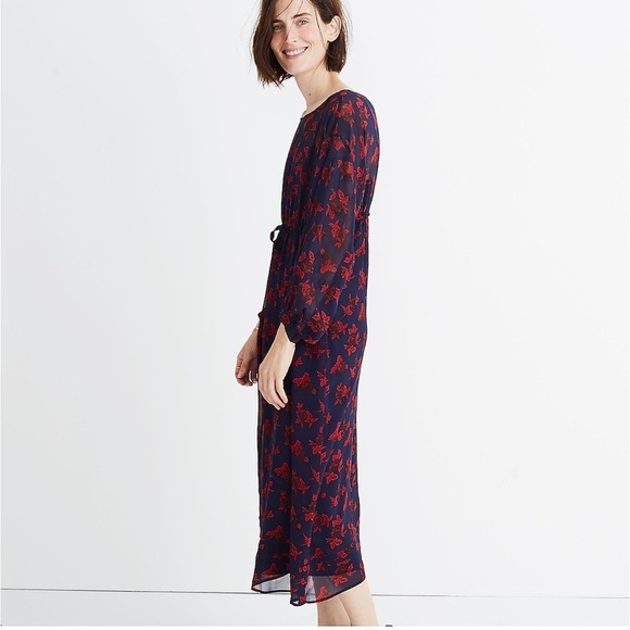 Madewell No.6 Vintage Rose Blue Red Silk Floral Printed Silk Magical Dress EUC 6